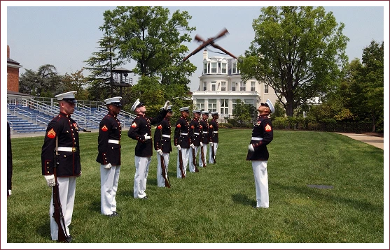 Group 8-1 A line of uniformed military personnel performs a rifle drill on a grassy field, with one member tossing a rifle in the air.